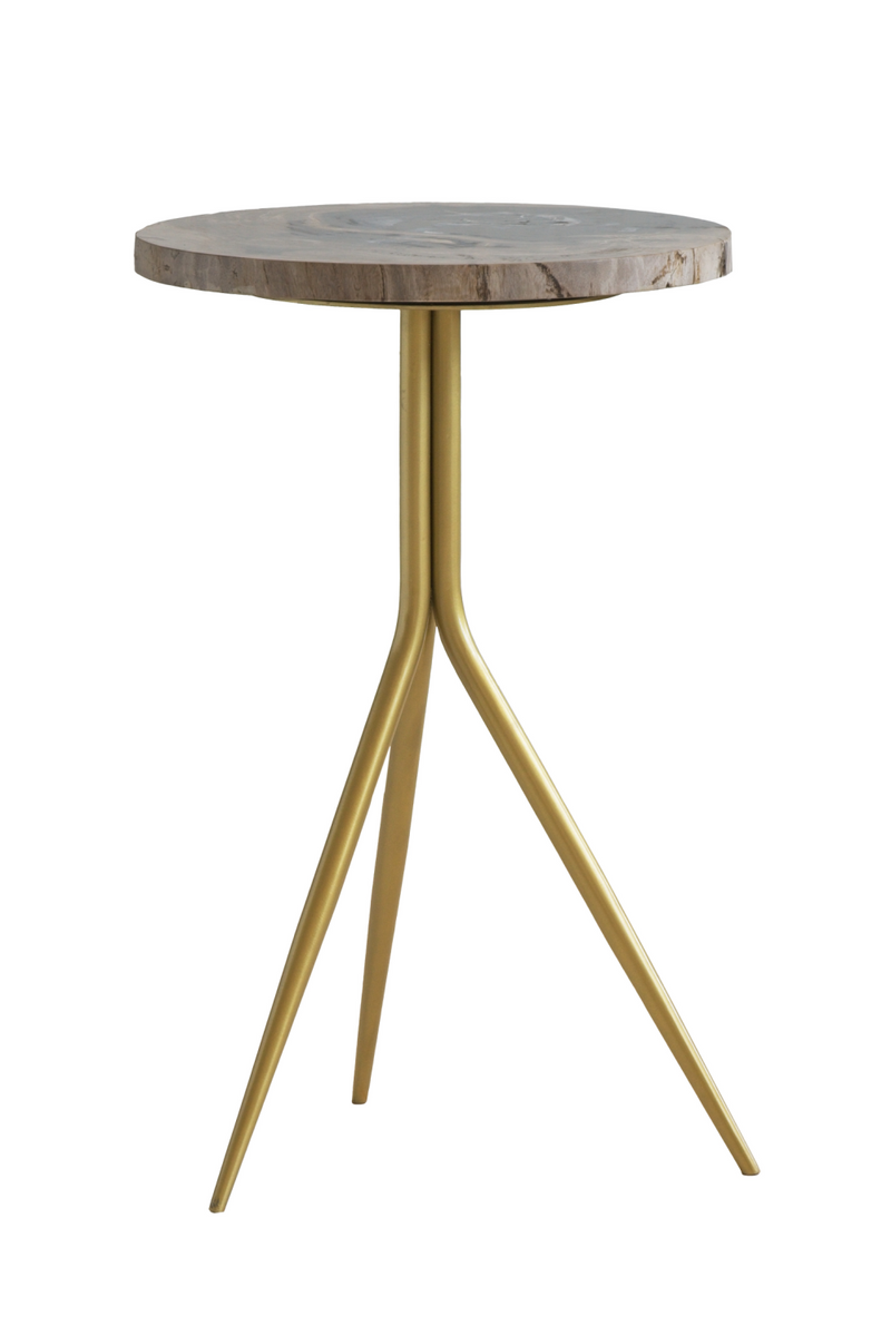 Table d'appoint en bois pétrifié | Andrew Martin Epiphany | Meubleluxe.fr