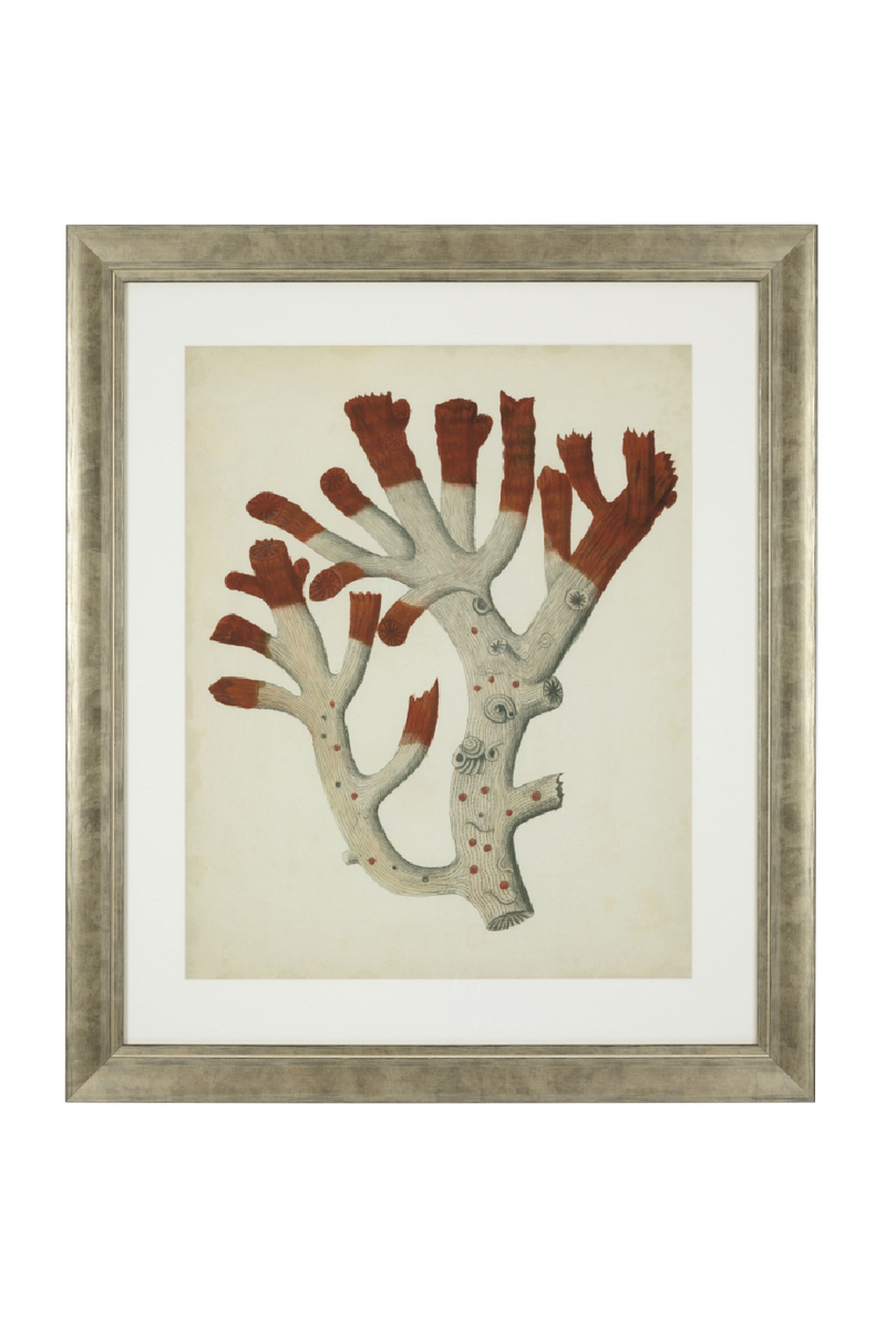 Dessins d'illustration coraux | Eichholtz Red Corals | Meubleluxe.fr
