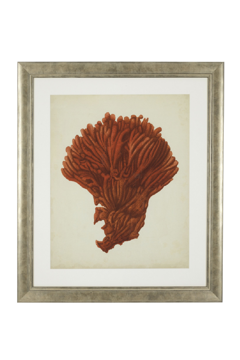 Dessins d'illustration coraux | Eichholtz Red Corals | Meubleluxe.fr